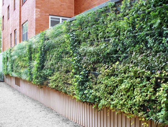 Green street живая изгородь
