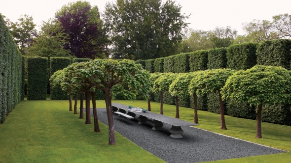 Backyard landscaping