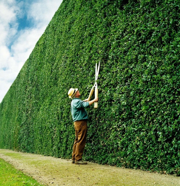 Hedge trimmer