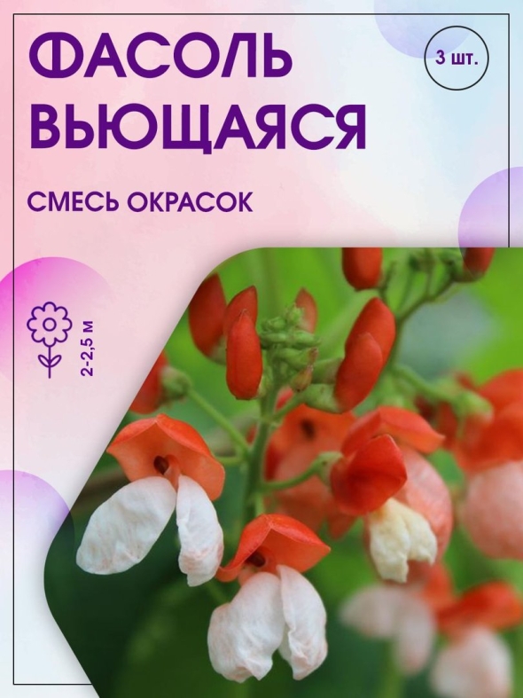 Фасоль вьющаяся смесь