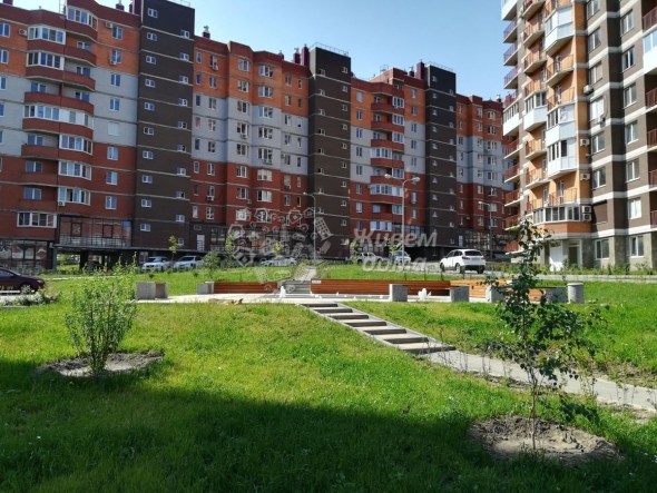Жк колизей волгоград