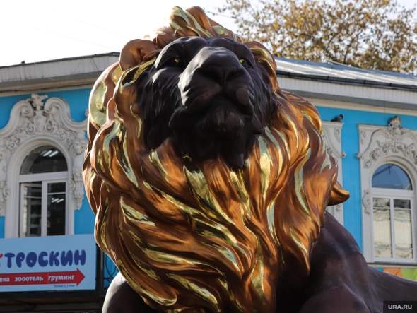 Лев с золотыми яйцами екатеринбург